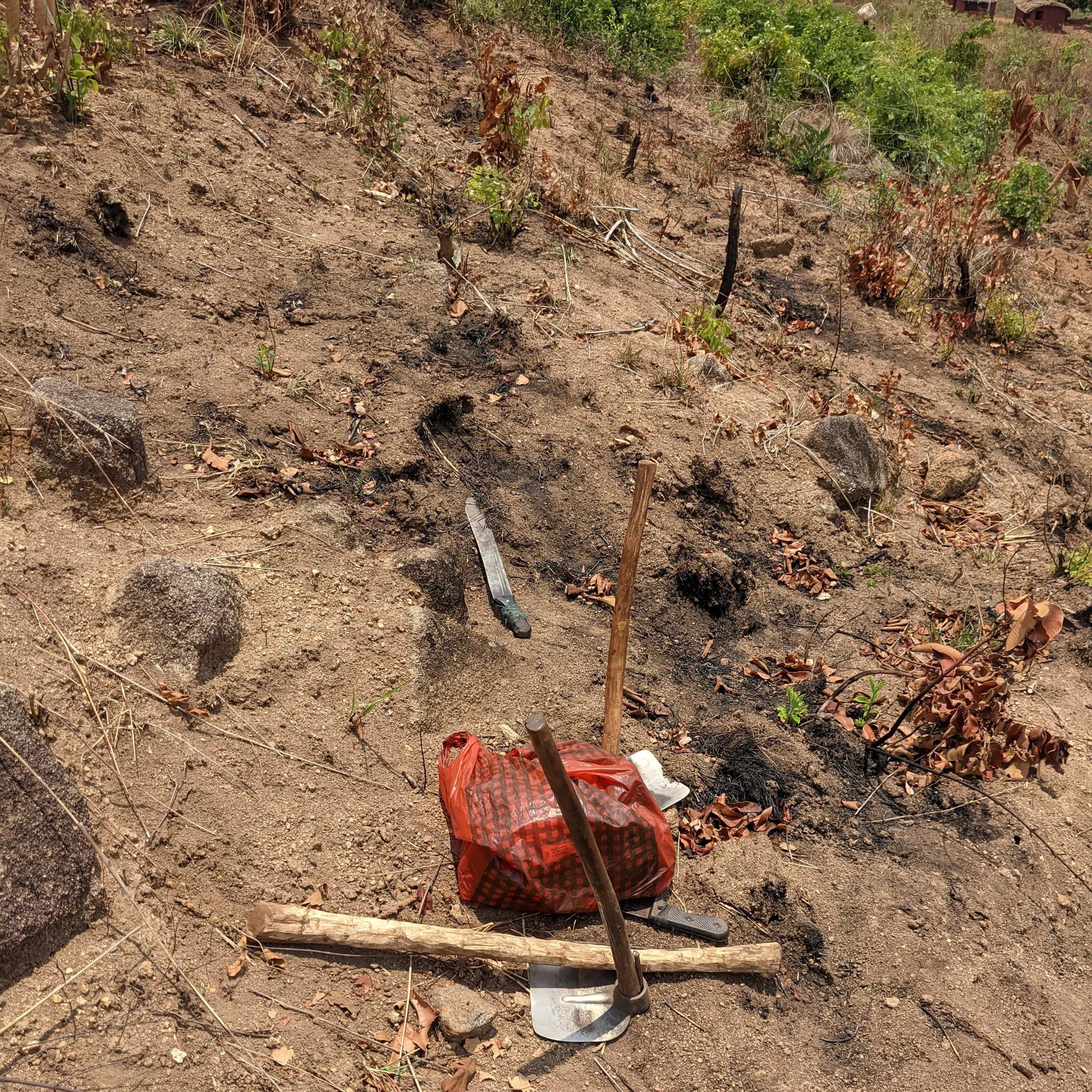 Smallholder tools: hoe, axe, and knives.