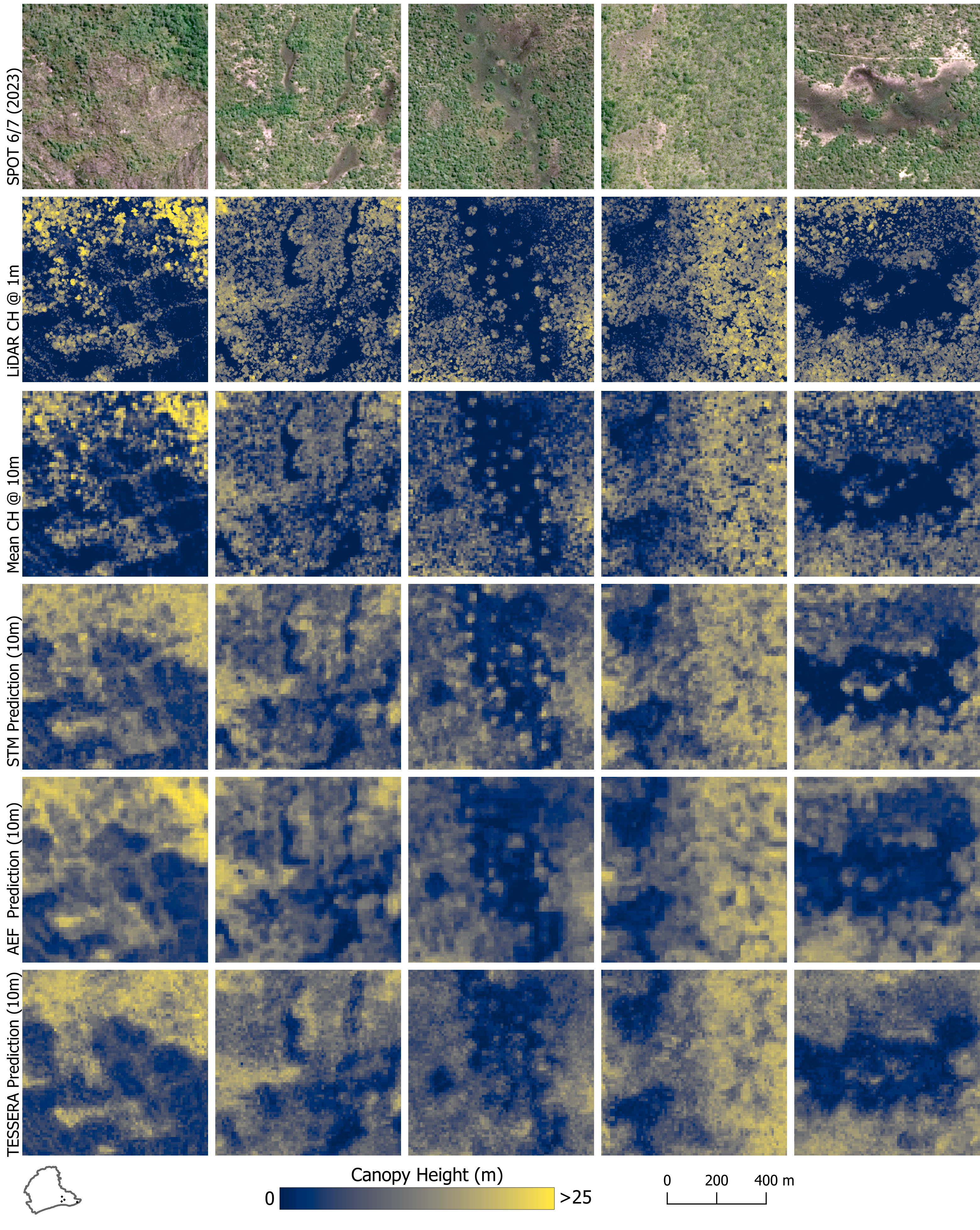 SPOT 6/7 1.5 m resolution imagery (first row), observed canopy height (second row) and predicted canopy height (third to last row) using XGBoost and STM, AEF, and TESSERA as input features.