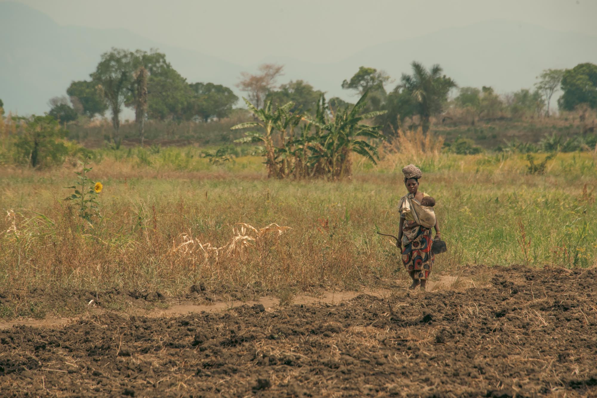 Woman working on farm carrying child.