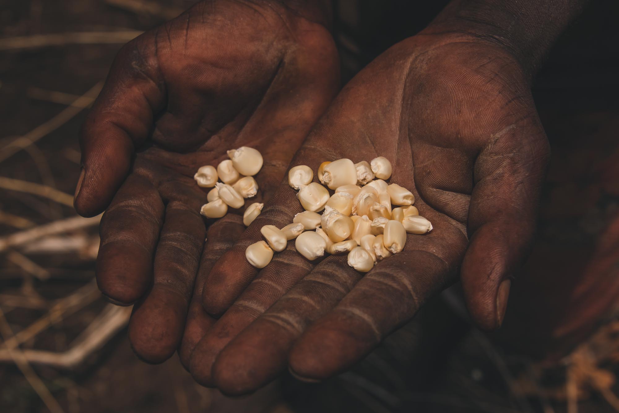 Farmer presenting seeds.