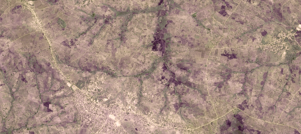 Satellite image with field boundaries detected with deep learning fading in.